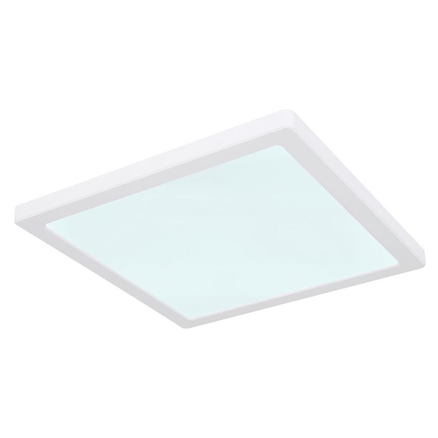 Globo - LED stropna plafonjera LED/24W/230V 3000/4000/6500K bela