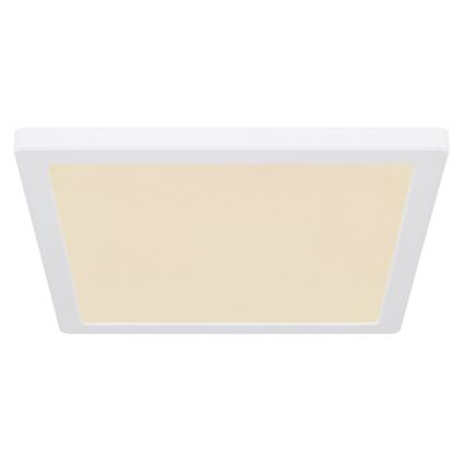 Globo - LED stropna plafonjera LED/24W/230V 3000/4000/6500K bela