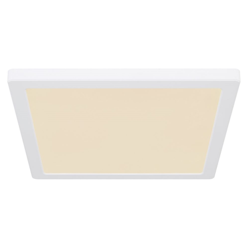Globo - LED stropna plafonjera LED/24W/230V 3000/4000/6500K bela