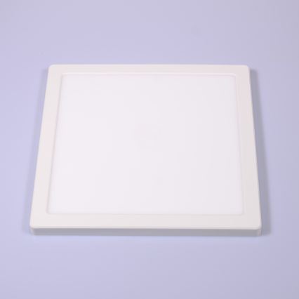 Globo - LED stropna plafonjera LED/24W/230V 3000/4000/6500K bela