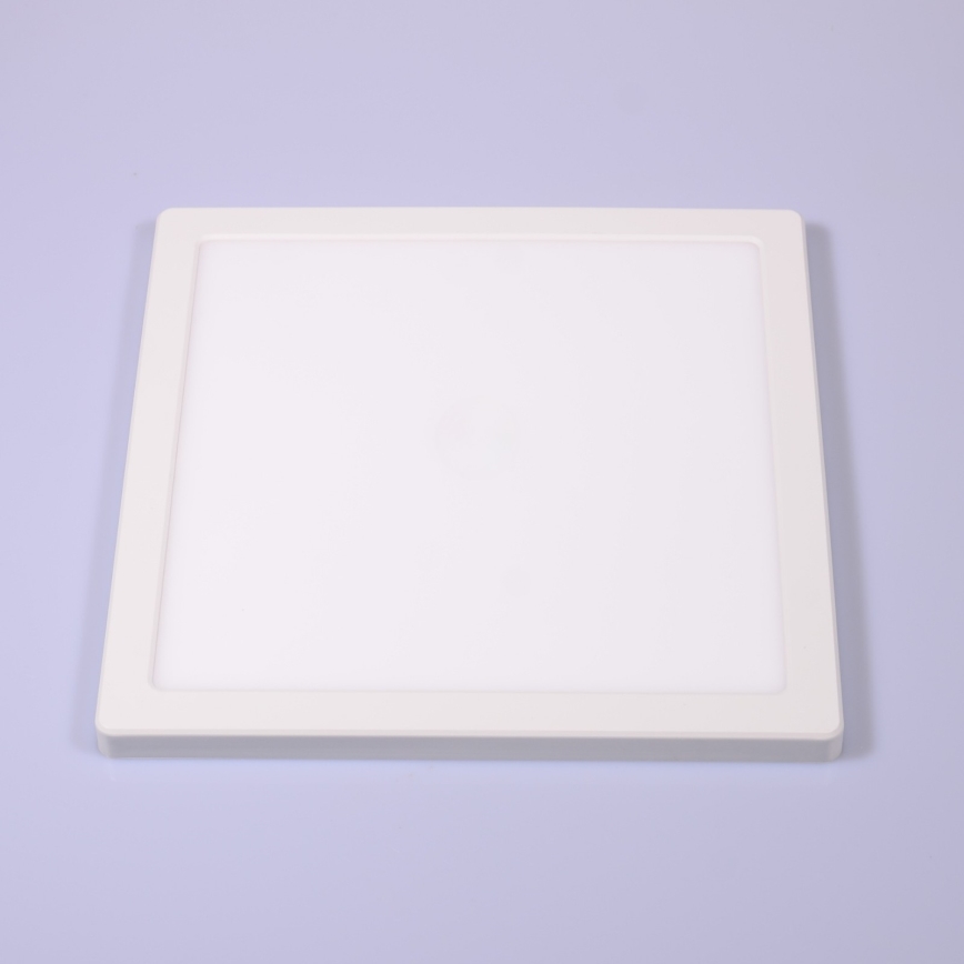 Globo - LED stropna plafonjera LED/24W/230V 3000/4000/6500K bela