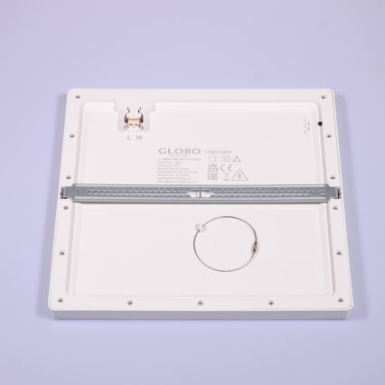 Globo - LED stropna plafonjera LED/24W/230V 3000/4000/6500K bela