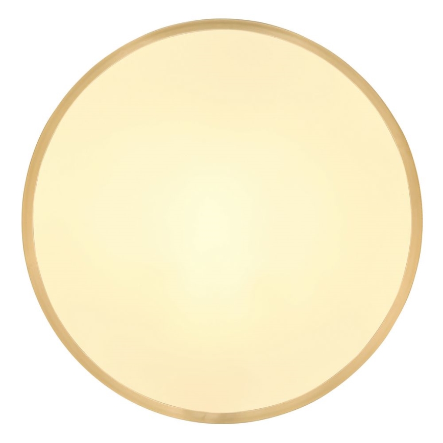 Globo - LED plafonska svetiljka LED/22W/230V, prečnik 35 cm