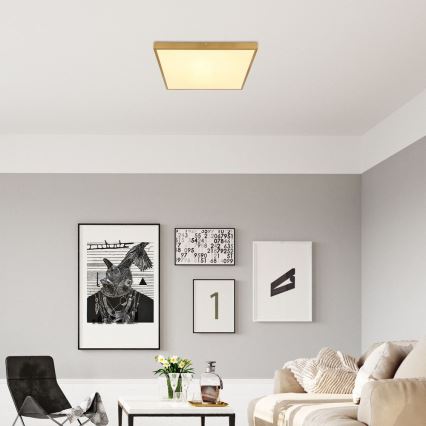 Globo - LED plafonsko svetlo LED/30W/230V 45x45 cm