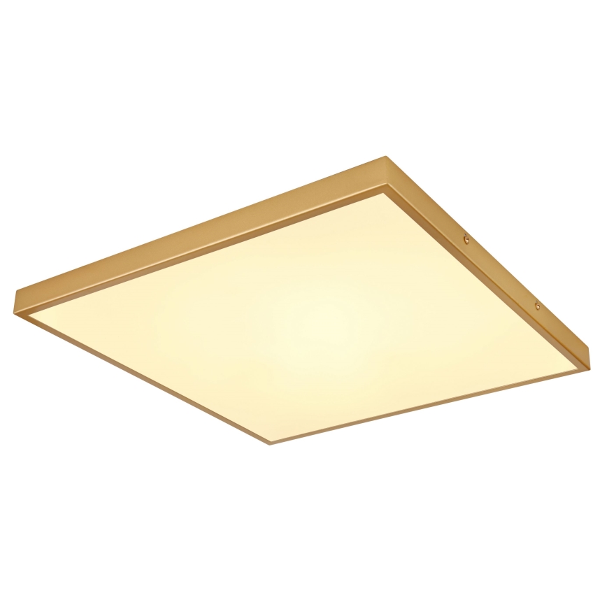 Globo - LED plafonsko svetlo LED/30W/230V 45x45 cm