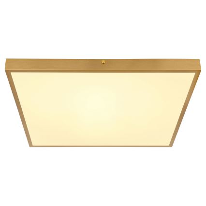 Globo - LED plafonsko svetlo LED/30W/230V 45x45 cm