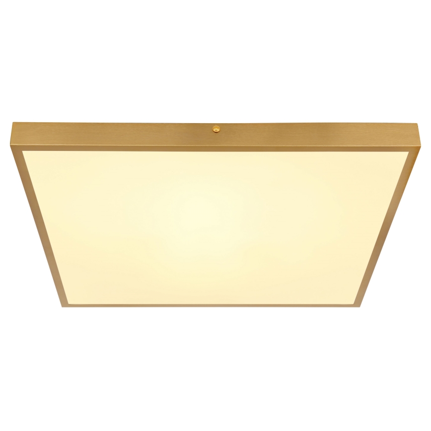 Globo - LED plafonsko svetlo LED/30W/230V 45x45 cm