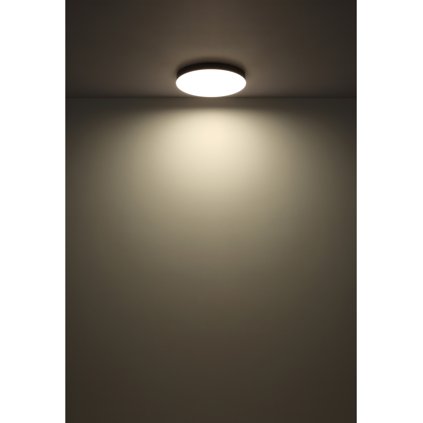 Globo - LED plafonsko svetlo LED/24W/230V 3000K/4000K/6500K prečnik 30 cm crno