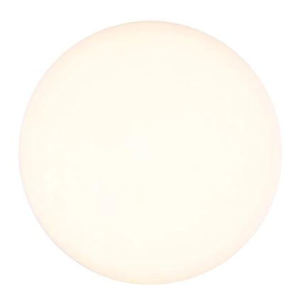Globo - LED plafonsko svetlo LED/12W/230V 4000K pr. 22 cm crno