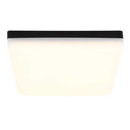 Globo - LED stropna svetiljka LED/12W/230V 4000K 22x22 cm crna
