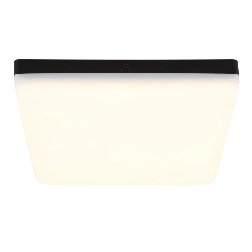 Globo - LED stropna svetiljka LED/12W/230V 4000K 22x22 cm crna