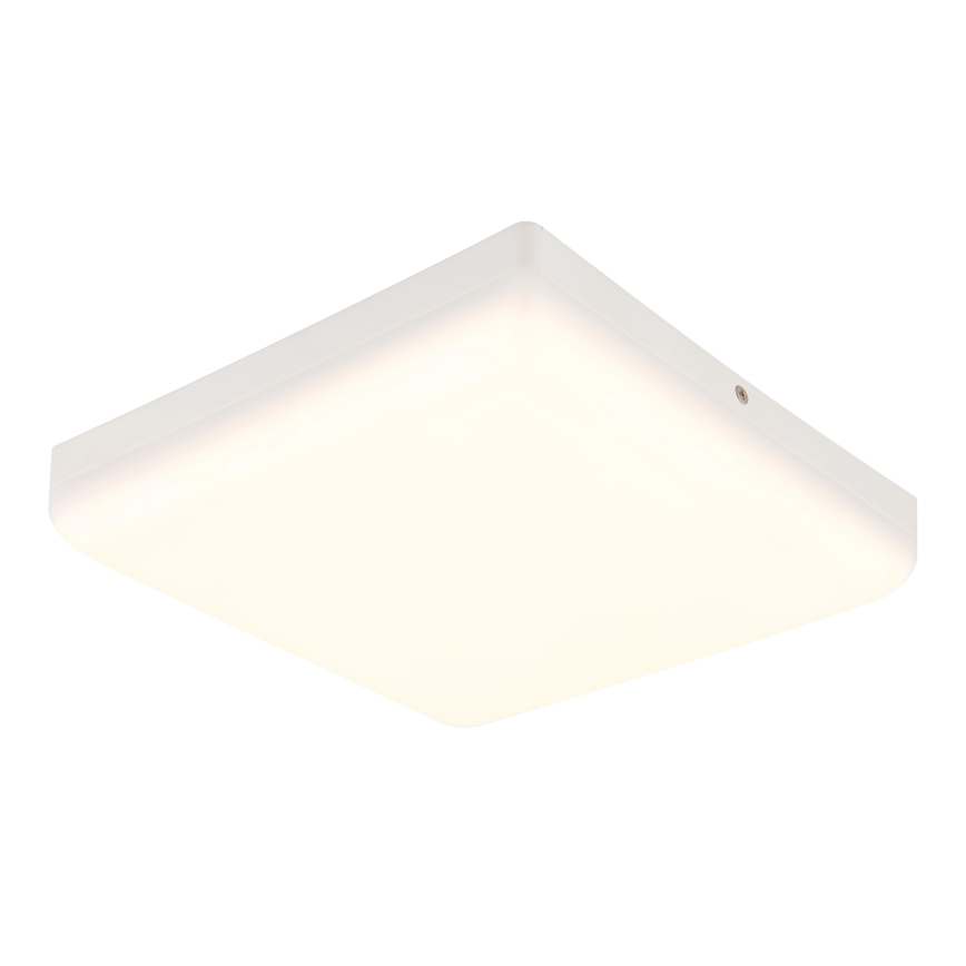 Globo - LED plafonsko svetlo LED/12W/230V 4000K 22x22 cm belo