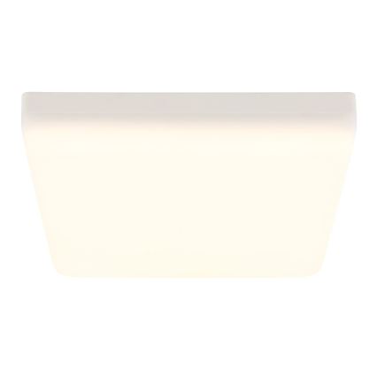 Globo - LED plafonsko svetlo LED/12W/230V 4000K 22x22 cm belo