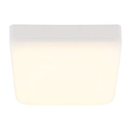 Globo - LED plafonsko svetlo LED/8W/230V 4000K 12x12 cm belo