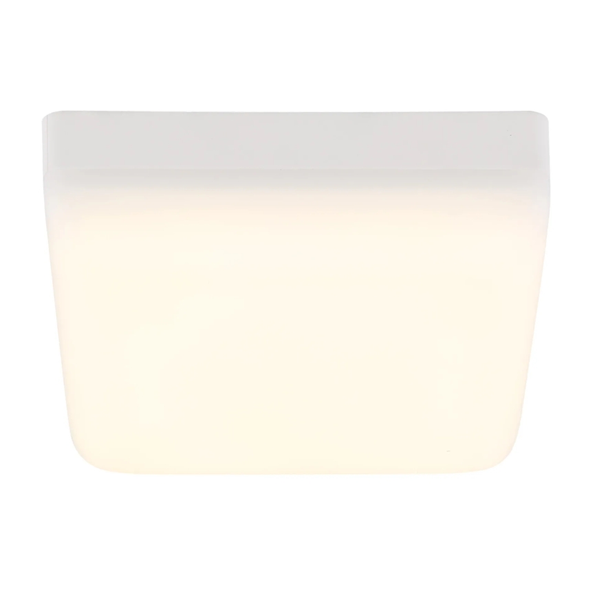 Globo - LED plafonsko svetlo LED/8W/230V 4000K 12x12 cm belo