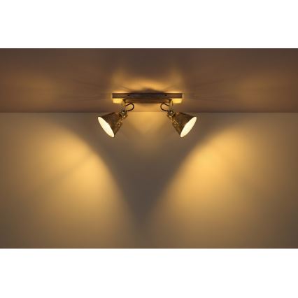 Globo - Spot svetiljka 2xE27/60W/230V, boja smreke