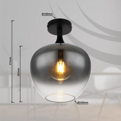 Globo - Plafonska lampa 1xE27/40W/230V zadimljena
