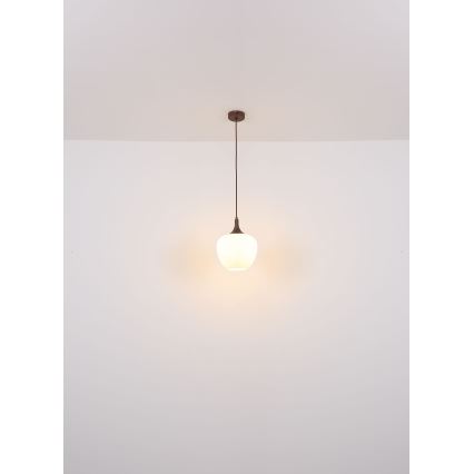 Globo - Luster na sajli 1xE27/60W/230V Ø 29 cm bela/braon