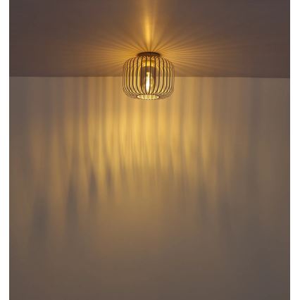 Globo - Plafonsko svetlo 1xE27/40W/230V, prečnik 28 cm