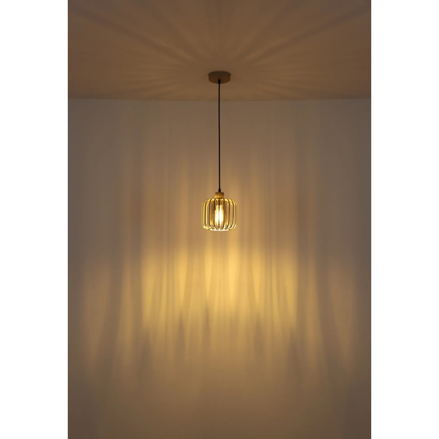 Globo - Luster na sajli 1xE27/40W/230V prečnik 18 cm