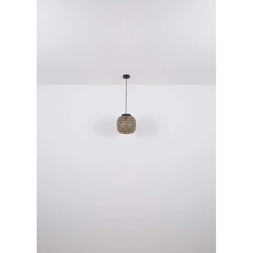 Globo 15766H1 - Luster na sajli COLLY 1xE27/15W/230V Ø 30 cm