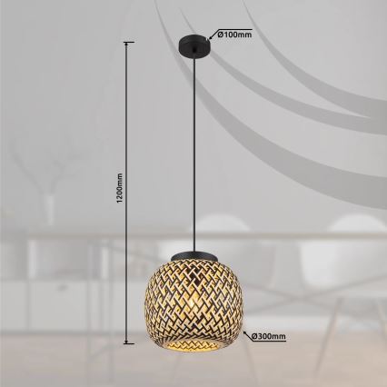 Globo 15766H1 - Luster na sajli COLLY 1xE27/15W/230V Ø 30 cm