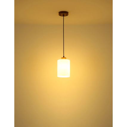Globo - Luster na sajli 1xE27/60W/230V hrast/bela