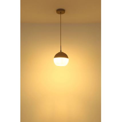 Globo - Luster na sajli 1xE27/60W/230V prečnik 20 cm