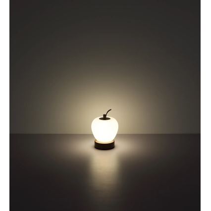 Globo - prigušiva LED stona lampa na dodir LED/2W/3,7V 2700K/4000K/6500K 1200 mAh USB braon