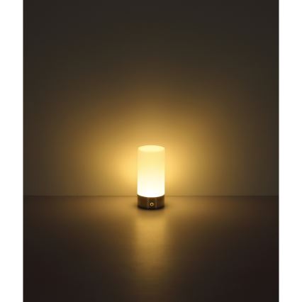 Globo - LED RGBW prigušiva dodirna spoljna stona lampa LED/1,8W/5V 1500 mAh IP44 mat hrom