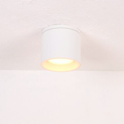 Globo - Spoljno plafonsko svetlo 1xGX53/11W/230V IP44