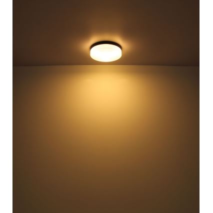 Globo - Kupatilsko svetlo 3xE27/60W/230V prečnik 30 cm IP44