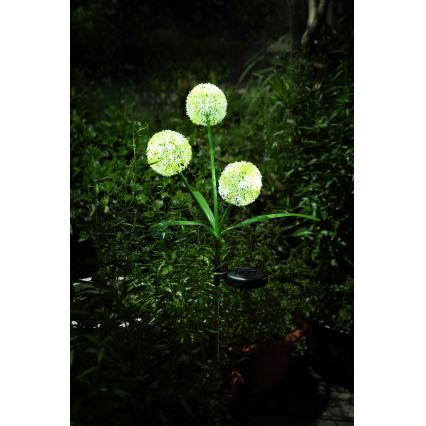 Globo  - LED solarna svetiljka 3xLED/0,06W/3V 5000K IP44 200 mAh žuta