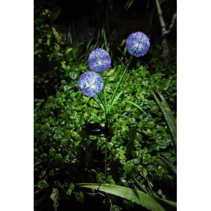 Globo - LED solarno svetlo 3xLED/0,06W/3V 5000K IP44 ljubičasta