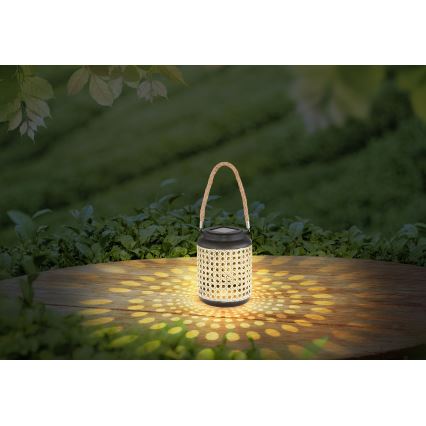 Globo - LED solarno svetlo LED/0,06W/3V 3000K IP44 bambus