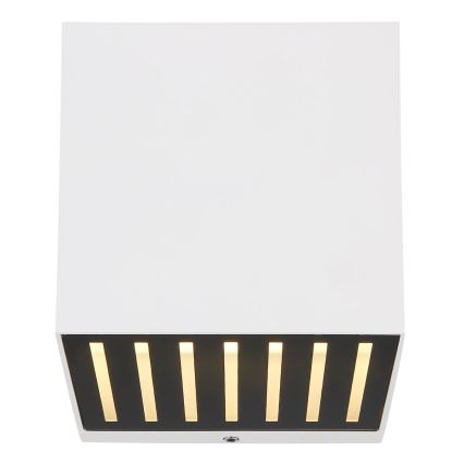 Globo - LED spoljašnje zidno svetlo LED/6W/230V IP54 belo