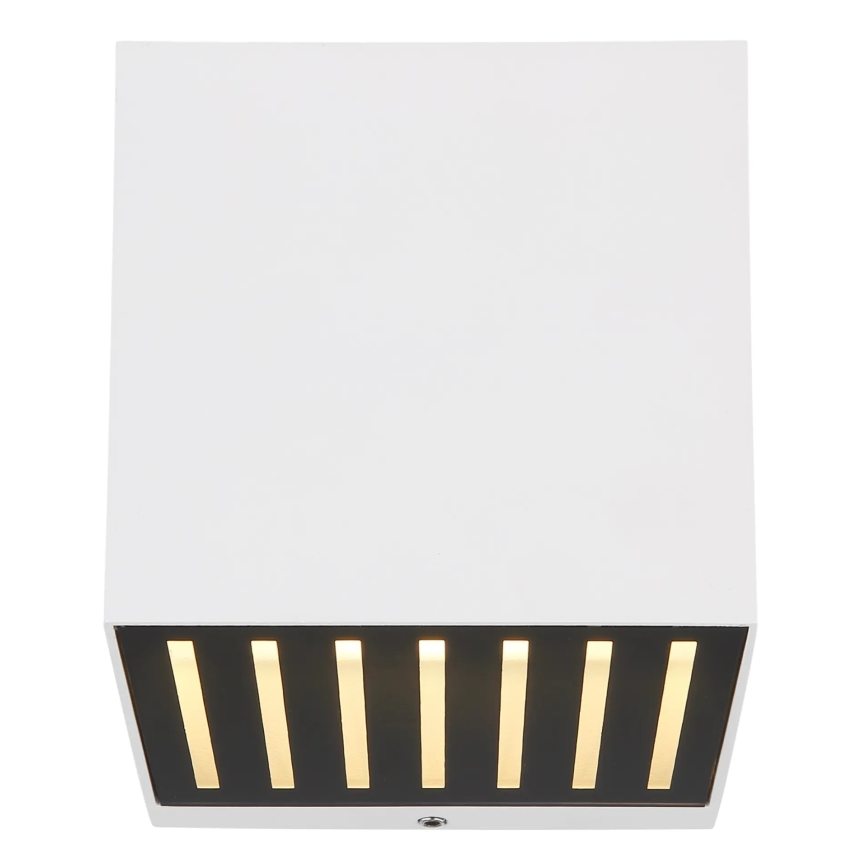 Globo - LED spoljašnje zidno svetlo LED/6W/230V IP54 belo