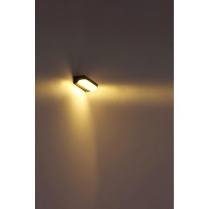 Globo - LED spoljna zidna svetiljka LED/20W/230V IP54