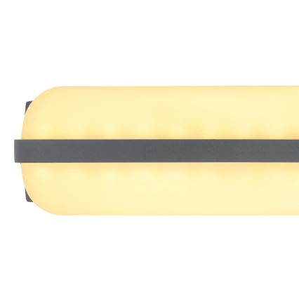 Globo - LED spoljna zidna svetiljka LED/20W/230V IP54