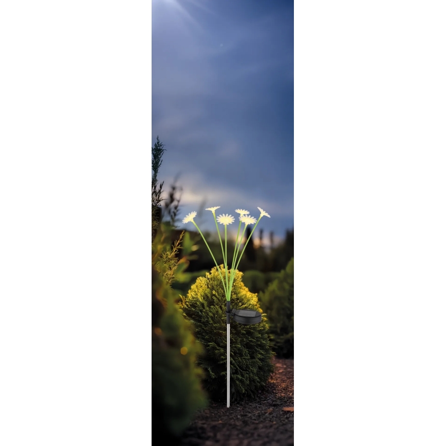 Globo - LED solarna svetiljka 6xLED/3V IP44 600 mAh, u obliku cveta