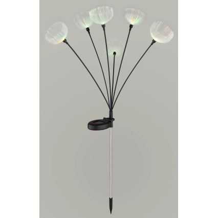 Globo - LED RGB solarno svetlo 6xLED/1,2V IP44 300 mAh
