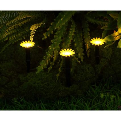 Globo - LED solarni lanac 5xLED/3V IP44 300 mAh 2,2 m cvetovi