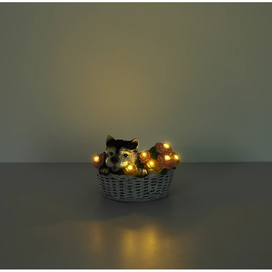 Globo - LED Solarno svetlo LED/1,2V IP44 300 mAh pas