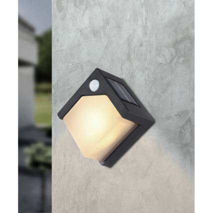 Globo - LED solarno svetlo sa senzorom LED/0,48W/3V IP44 600 mAh