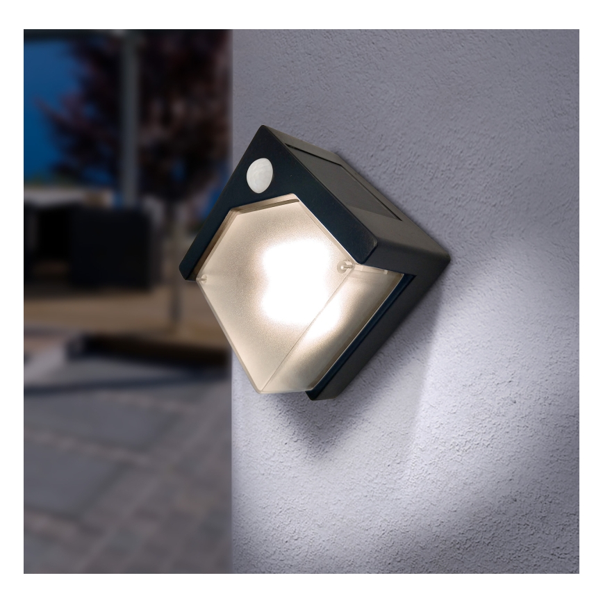 Globo - LED solarno svetlo sa senzorom LED/0,48W/3V IP44 600 mAh