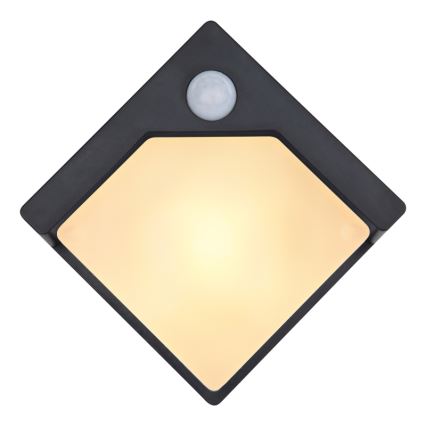 Globo - LED solarno svetlo sa senzorom LED/0,48W/3V IP44 600 mAh