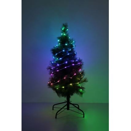 Globo - LED RGB traka 100xLED/0,06W/5V 10 m 27 funkcija