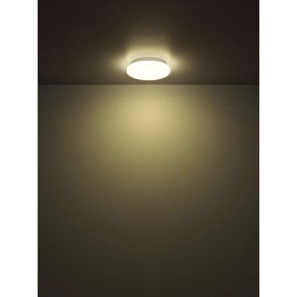 Globo - LED plafonsko svetlo LED/8W/230V 4000K prečnika 55 cm