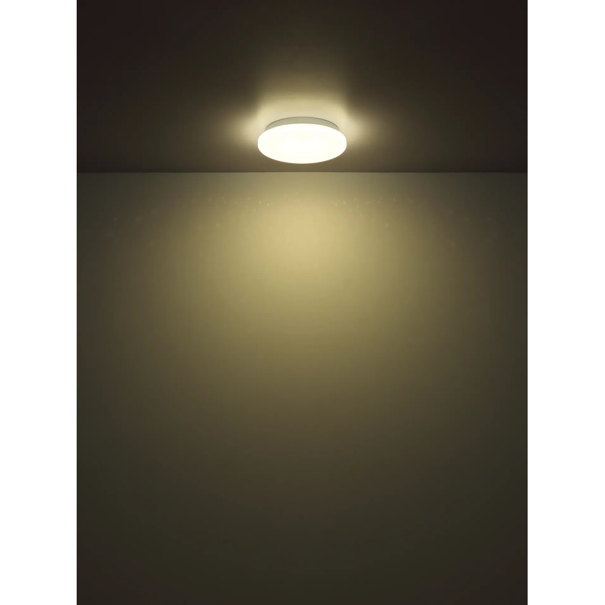 Globo - LED plafonsko svetlo LED/8W/230V 4000K prečnika 55 cm