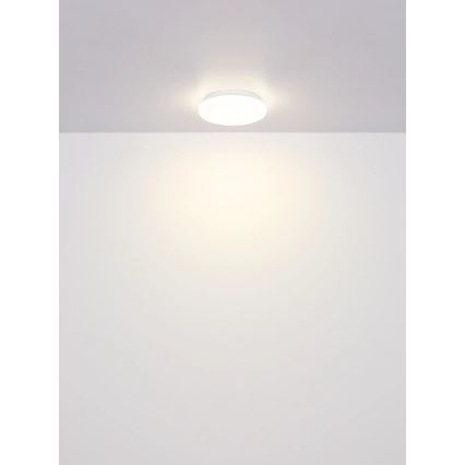 Globo - LED plafonsko svetlo LED/8W/230V 4000K prečnika 55 cm